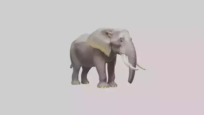 3D model Indian Elephant foraging model VR / AR / low-poly