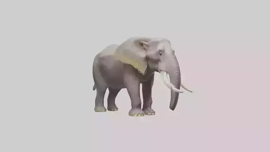3D model Indian Elephant foraging model VR / AR / low-poly
