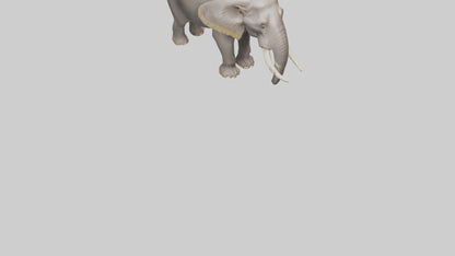 3D model Indian Elephant foraging model VR / AR / low-poly