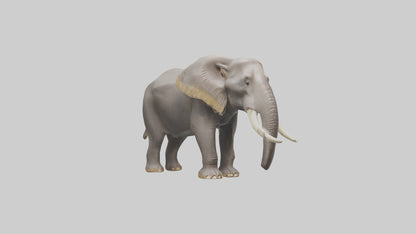 3D model Indian Elephant foraging model VR / AR / low-poly
