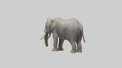 3D model Indian Elephant foraging model VR / AR / low-poly