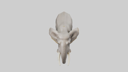 3D model Indian Elephant foraging model VR / AR / low-poly