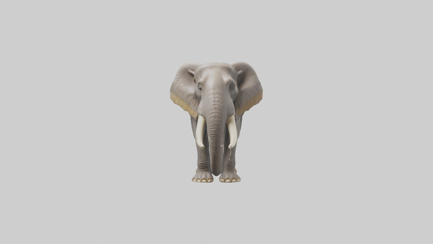 3D model Indian Elephant foraging model VR / AR / low-poly