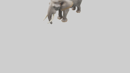 3D model Indian Elephant foraging model VR / AR / low-poly