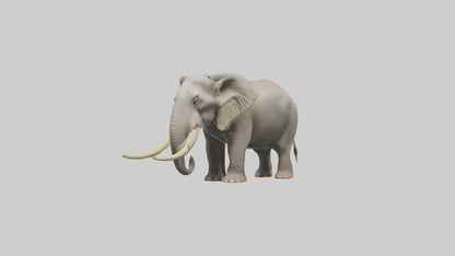 Indian Elephant grazing model VR / AR / low-poly