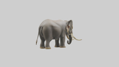 Indian Elephant grazing model VR / AR / low-poly