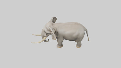 Indian Elephant grazing model VR / AR / low-poly