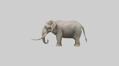 Indian Elephant grazing model VR / AR / low-poly