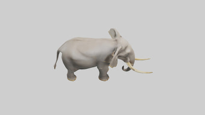 Indian Elephant grazing model VR / AR / low-poly