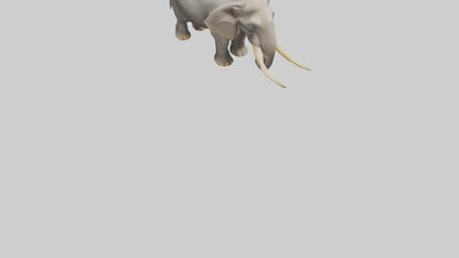 Indian Elephant grazing model VR / AR / low-poly