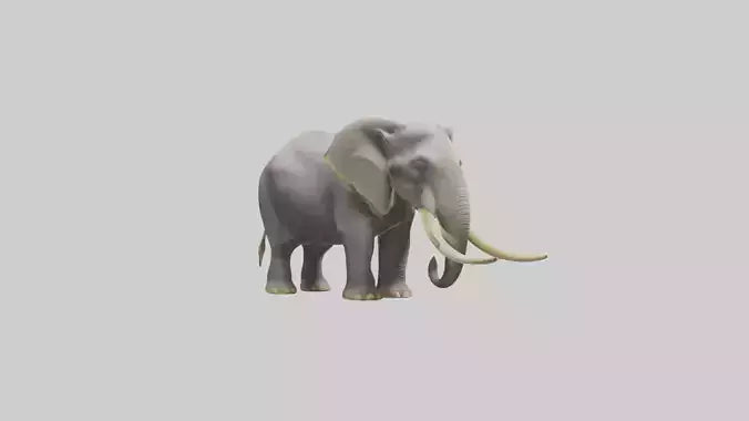 Indian Elephant grazing model VR / AR / low-poly