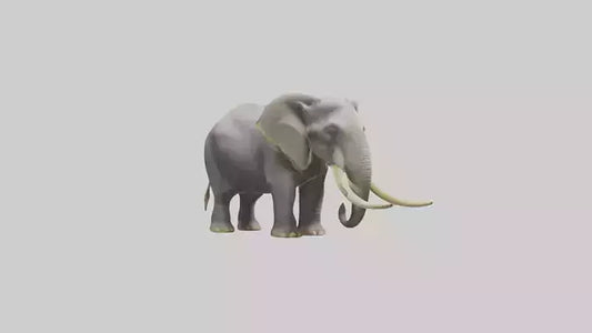 Indian Elephant grazing model VR / AR / low-poly