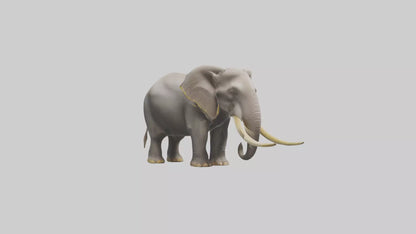 Indian Elephant grazing model VR / AR / low-poly