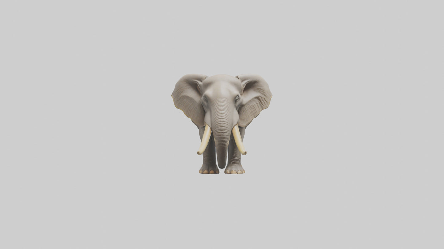 Indian Elephant grazing model VR / AR / low-poly
