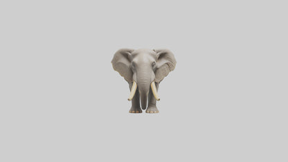 Indian Elephant grazing model VR / AR / low-poly
