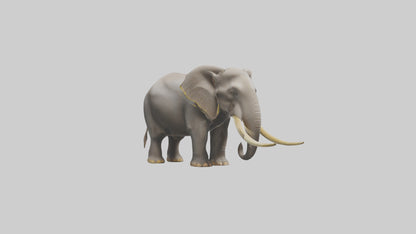 Indian Elephant grazing model VR / AR / low-poly