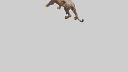 3D model Indian Leopard stalking model VR / AR / low-poly