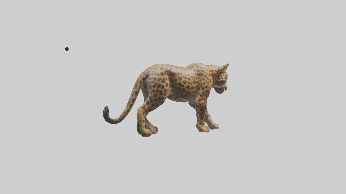 3D model Indian Leopard stalking model VR / AR / low-poly