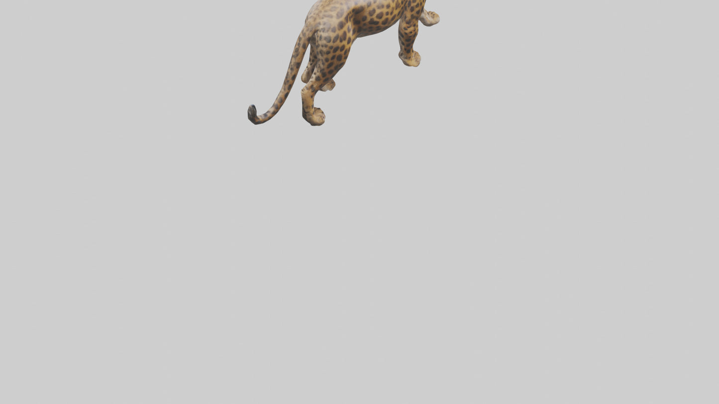 3D model Indian Leopard stalking model VR / AR / low-poly