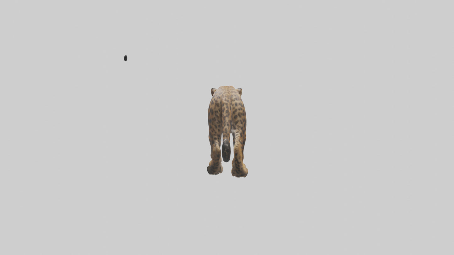 3D model Indian Leopard stalking model VR / AR / low-poly