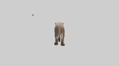 3D model Indian Leopard stalking model VR / AR / low-poly