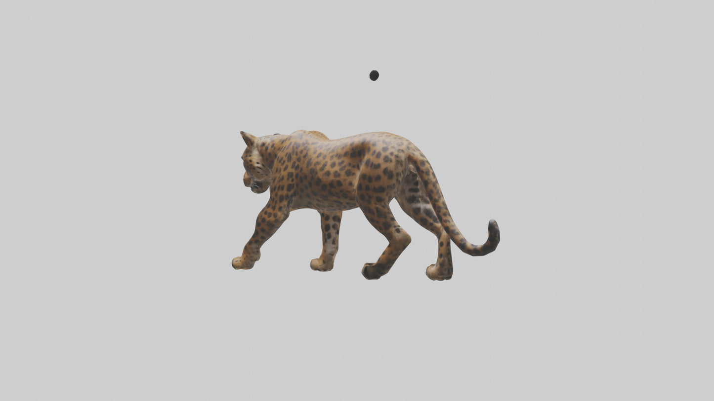 3D model Indian Leopard stalking model VR / AR / low-poly
