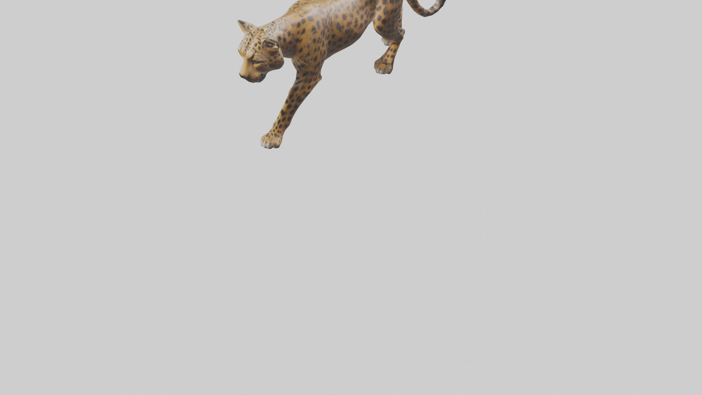 3D model Indian Leopard stalking model VR / AR / low-poly