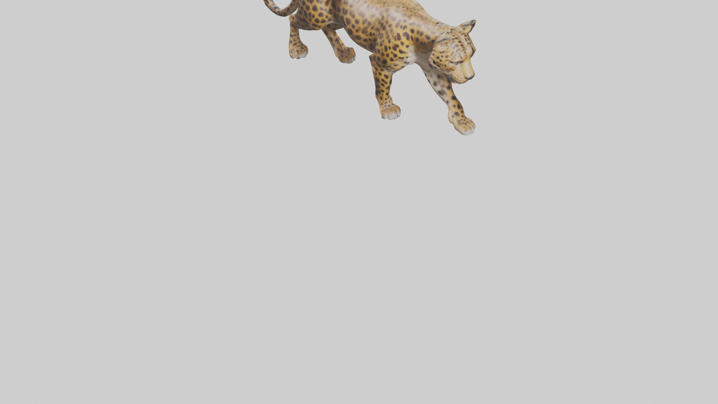3D model Indian Leopard stalking model VR / AR / low-poly
