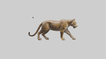 3D model Indian Leopard stalking model VR / AR / low-poly