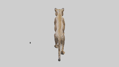 3D model Indian Leopard stalking model VR / AR / low-poly