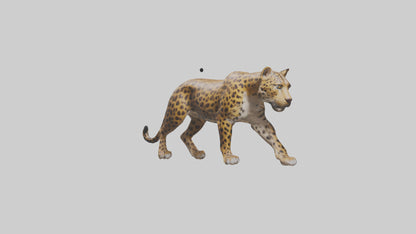 3D model Indian Leopard stalking model VR / AR / low-poly