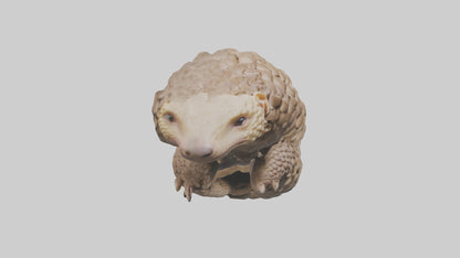 3D model Indian Pangolin curled up model VR / AR / low-poly