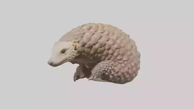 3D model Indian Pangolin curled up model VR / AR / low-poly