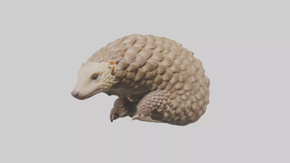 3D model Indian Pangolin curled up model VR / AR / low-poly