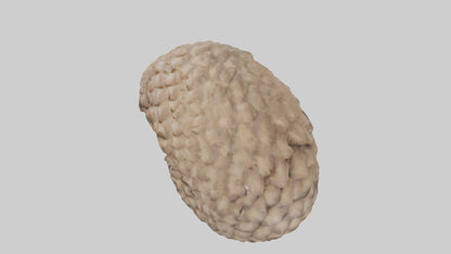 3D model Indian Pangolin curled up model VR / AR / low-poly