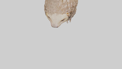 3D model Indian Pangolin curled up model VR / AR / low-poly
