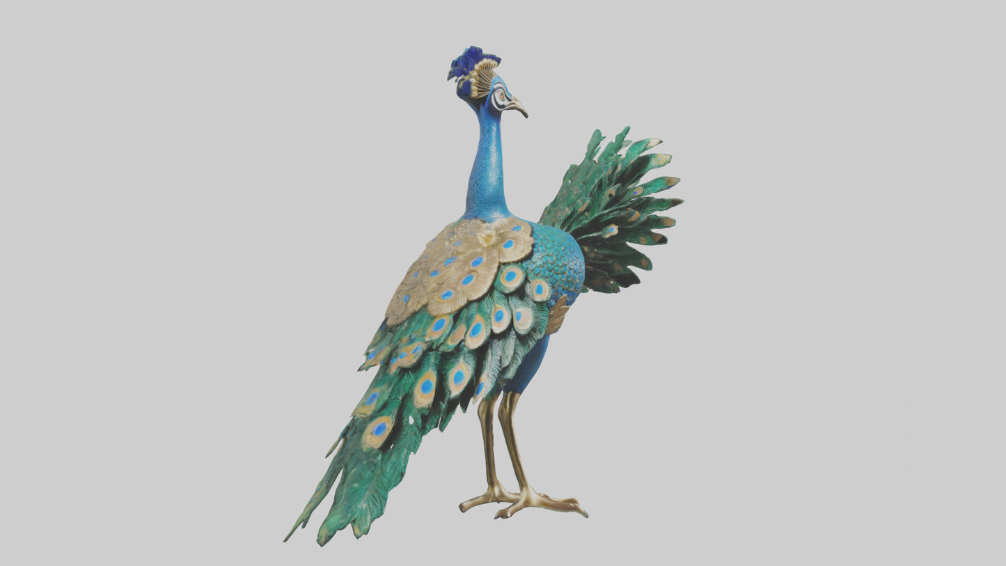 3D model Indian Peafowl statue model VR / AR / low-poly