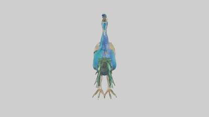 3D model Indian Peafowl statue model VR / AR / low-poly