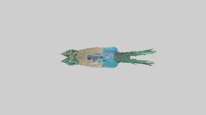 3D model Indian Peafowl statue model VR / AR / low-poly