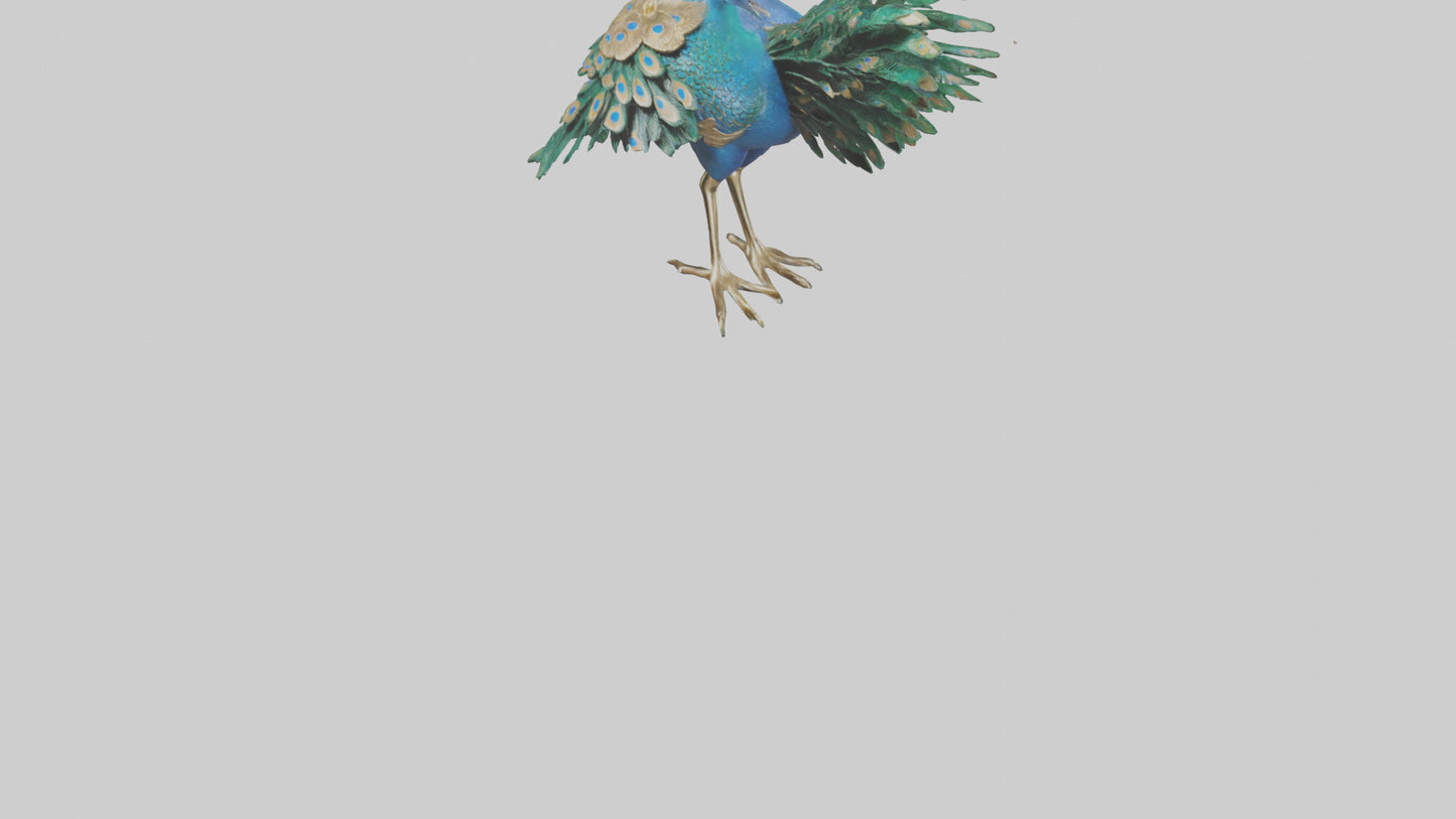 3D model Indian Peafowl statue model VR / AR / low-poly