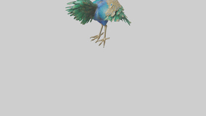 3D model Indian Peafowl statue model VR / AR / low-poly