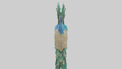 3D model Indian Peafowl statue model VR / AR / low-poly