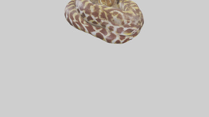 Indian Python coiled model VR / AR / low-poly