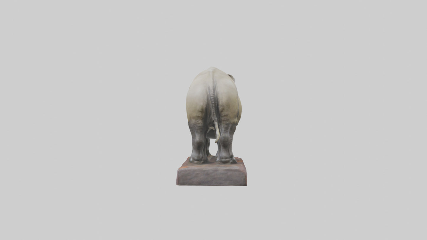 Indian Rhinoceros statue model VR / AR / low-poly