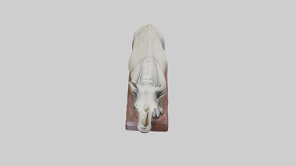 Indian Rhinoceros statue model VR / AR / low-poly
