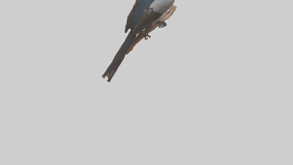 3D model Indian Starling perched model VR / AR / low-poly