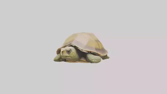 3D model Indian Tent Turtle resting model VR / AR / low-poly