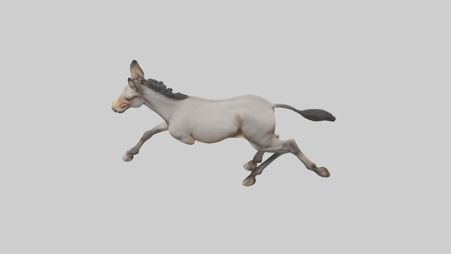 3D model Indian Wild Ass running model VR / AR / low-poly
