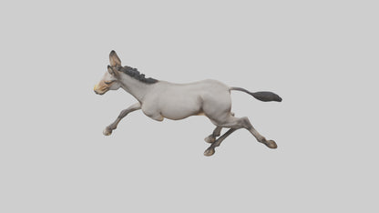 3D model Indian Wild Ass running model VR / AR / low-poly