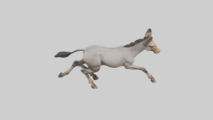 3D model Indian Wild Ass running model VR / AR / low-poly